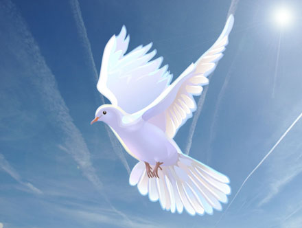 Dove Descending From Heaven