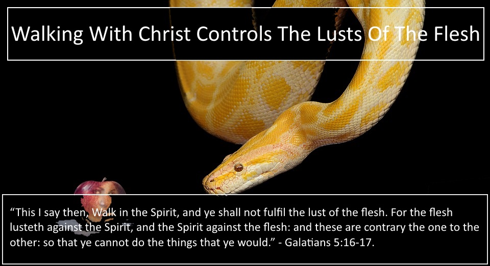 christ-to-control